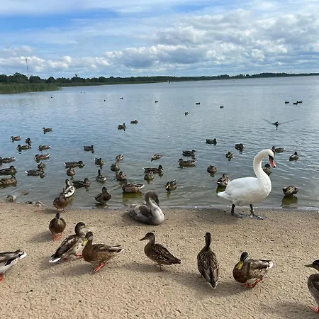 別荘 Glebia Baltyku *