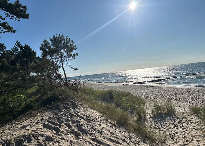 Glebia Baltyku * بابولين